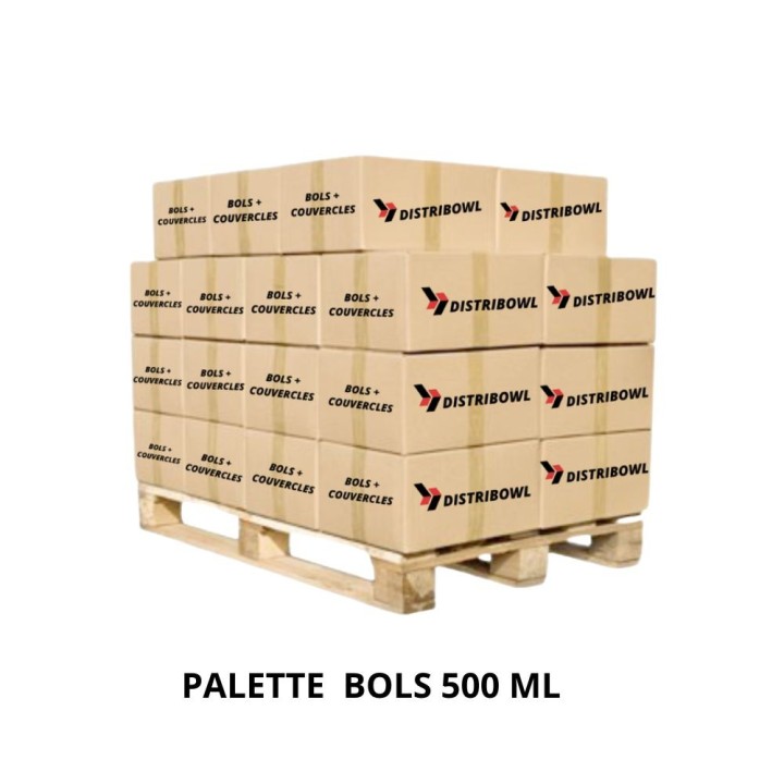 PALETTE 6000 BOLS KRAFT 500 ML